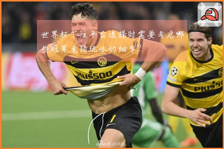 世界杯下注平台选择时需要考虑哪些冠军竞猜玩法的细节？