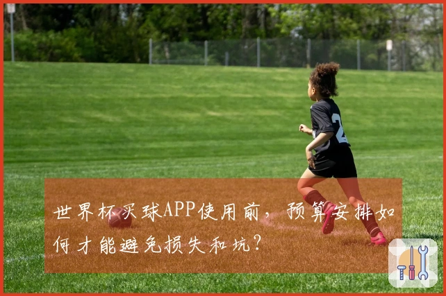 世界杯买球APP使用前，预算安排如何才能避免损失和坑？