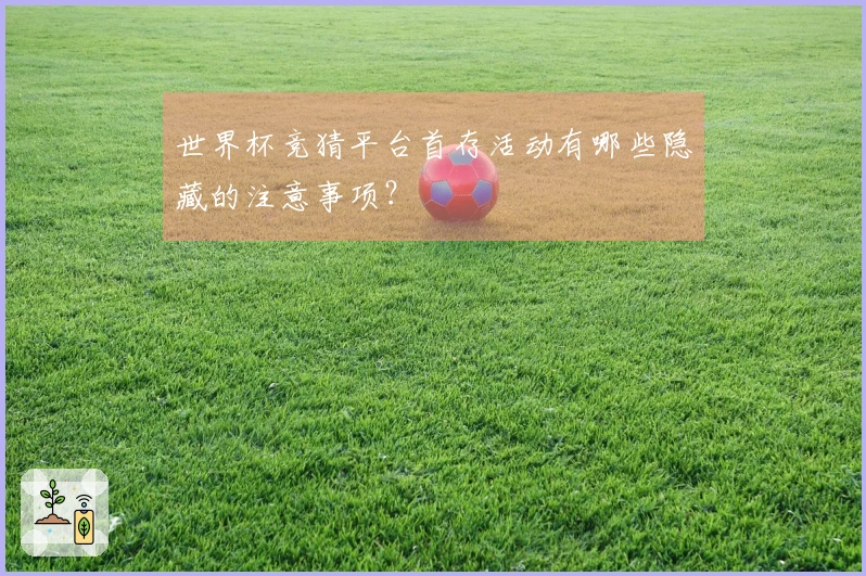 世界杯竞猜平台首存活动有哪些隐藏的注意事项？