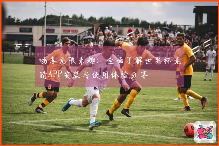 畅享无限乐趣：全面了解世界杯竞猜APP安装与使用体验分享
