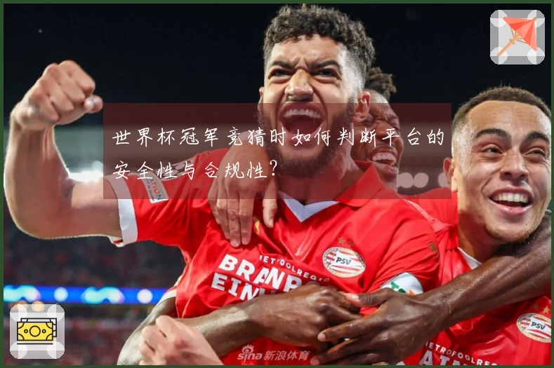 世界杯冠军竞猜时如何判断平台的安全性与合规性？