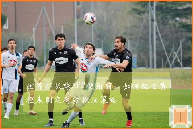 世界杯买球APP使用前，如何配合赛程表制定有效投注策略
