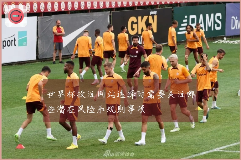 世界杯投注网站选择时需要关注哪些潜在风险和规则事项