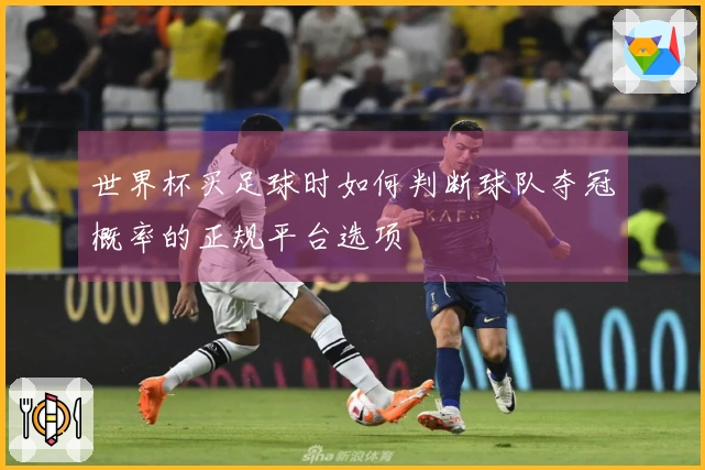 世界杯买足球时如何判断球队夺冠概率的正规平台选项