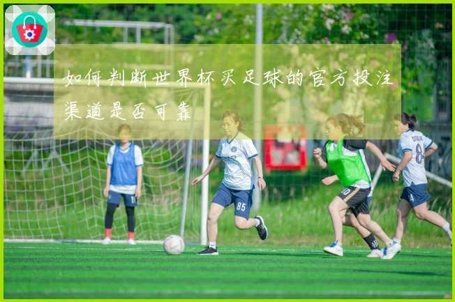 如何判断世界杯买足球的官方投注渠道是否可靠