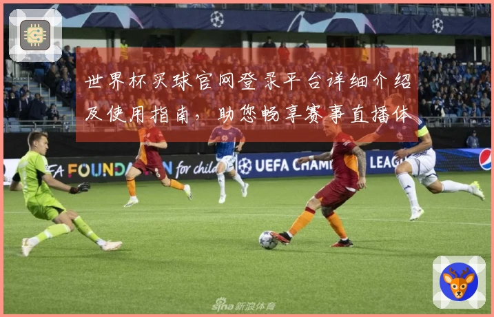 世界杯买球官网登录平台详细介绍及使用指南，助您畅享赛事直播体验