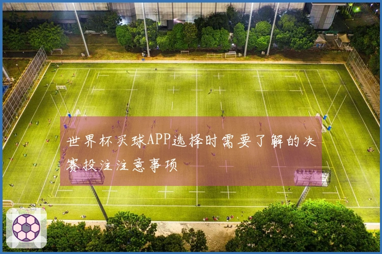 世界杯买球APP选择时需要了解的决赛投注注意事项