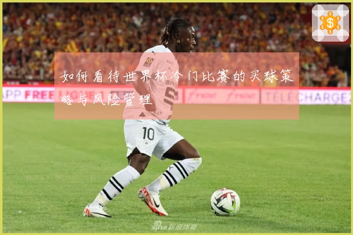 如何看待世界杯冷门比赛的买球策略与风险管理