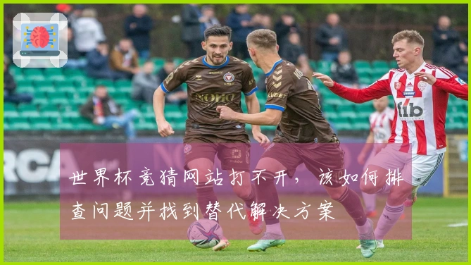世界杯竞猜网站打不开，该如何排查问题并找到替代解决方案