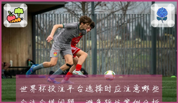 世界杯投注平台选择时应注意哪些合法合规问题，避免踩坑案例分析