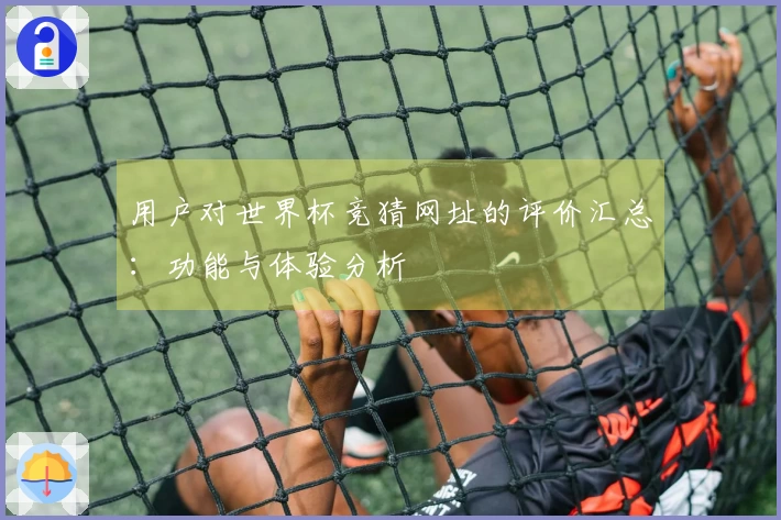 用户对世界杯竞猜网址的评价汇总：功能与体验分析