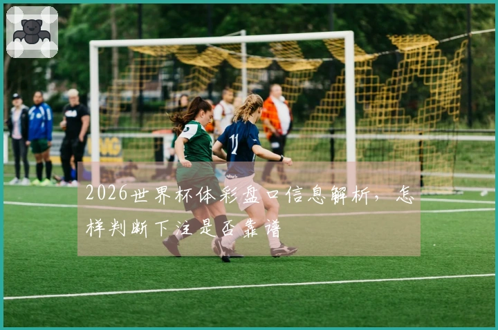 2026世界杯体彩盘口信息解析，怎样判断下注是否靠谱