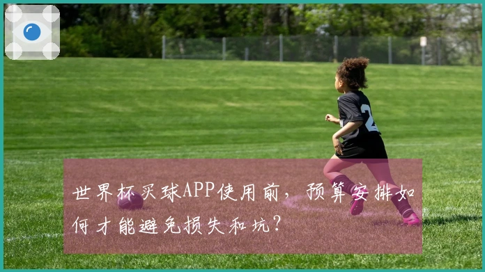 世界杯买球APP使用前，预算安排如何才能避免损失和坑？