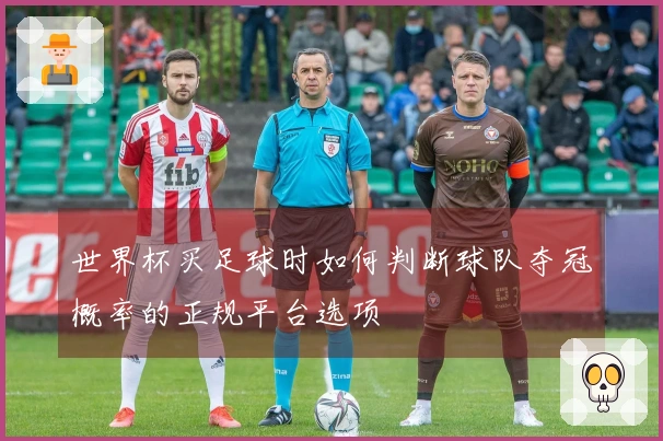 世界杯买足球时如何判断球队夺冠概率的正规平台选项