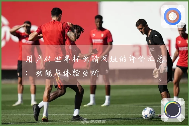 用户对世界杯竞猜网址的评价汇总：功能与体验分析