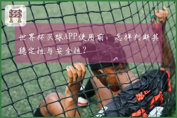 世界杯买球APP使用前，怎样判断其稳定性与安全性？