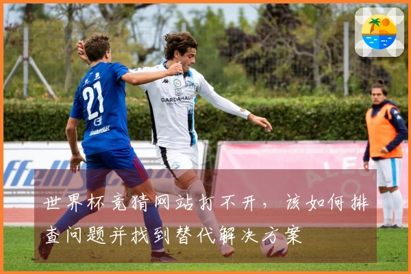 世界杯竞猜网站打不开，该如何排查问题并找到替代解决方案